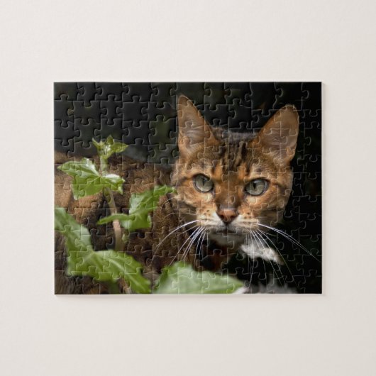 Mooie bengaals kat legpuzzel (Horizontaal)