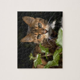 Mooie bengaals kat legpuzzel