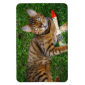 Mooie bengaals kat magneet (Verticaal)