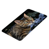 Mooie bengaals kat magneet (Linkerzijde)
