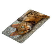 Mooie bengaals kat magneet (Linkerzijde)