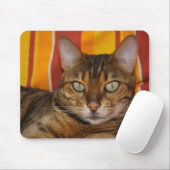 Mooie bengaals kat muismat (Met muis)