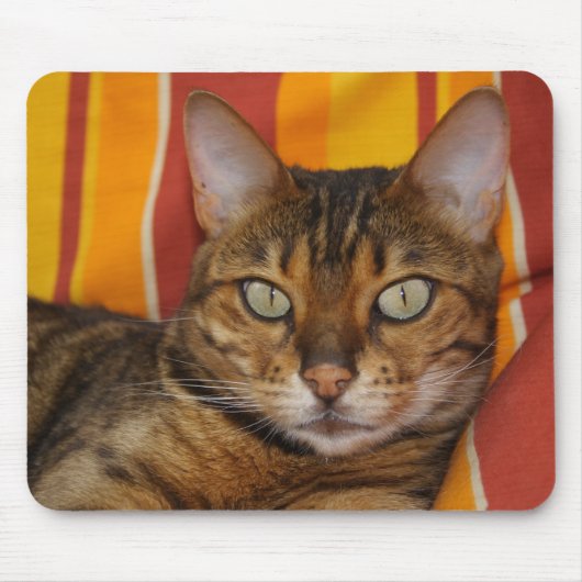 Mooie bengaals kat muismat (Voorkant)