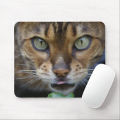 Mooie bengaals kat muismat (Met muis)
