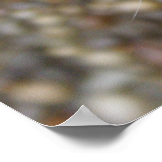 Mooie bengaals kat poster (Hoek)