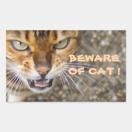 Mooie bengaals kat rechthoekige sticker (Voorkant)