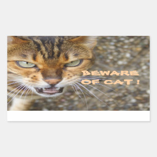 Mooie bengaals kat rechthoekige sticker
