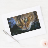 Mooie bengaals kat rechthoekige sticker (Envelop)