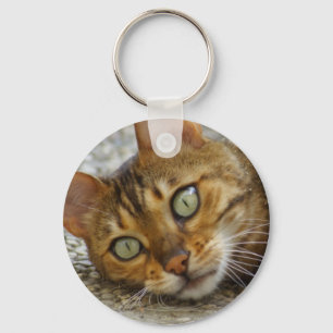 Mooie bengaals kat sleutelhanger