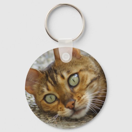 Mooie bengaals kat sleutelhanger (Voorkant)