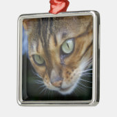 Mooie Bengaalse kat Metalen Ornament (Links)