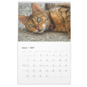 Mooie Bengaalse katten 2025 Kalender (Mar 2027)