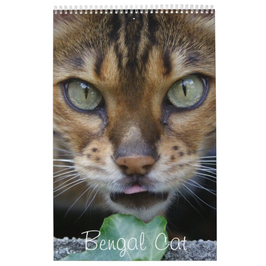 Mooie Bengaalse katten 2025 Kalender (Hoes)