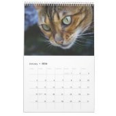 Mooie Bengaalse katten 2025 Kalender (Jan 2026)