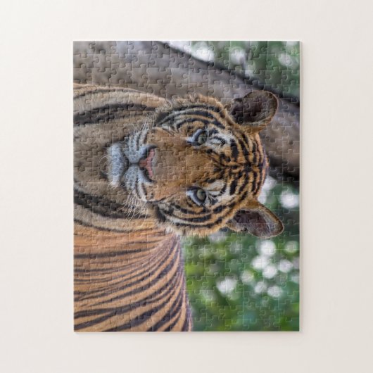 Mooie Bengaalse Tijger Foto Legpuzzel (Verticaal)