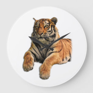 Mooie Bengal Tiger Face & Paws-foto Grote Klok