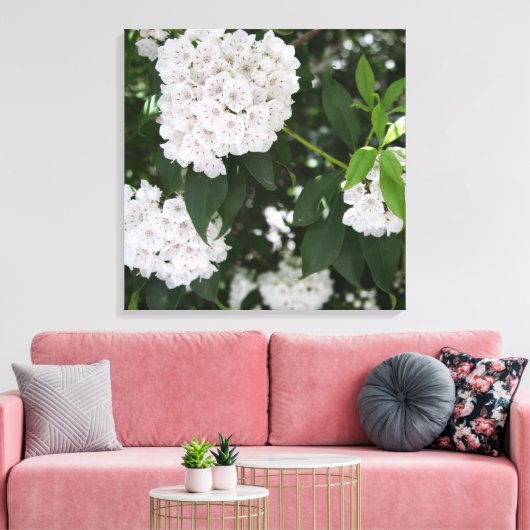 Mooie Berglaurier Witte Bloemen Canvas Afdruk (Insitu (Woonkamer))