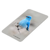 Mooie bergvogel magneet (Linkerzijde)