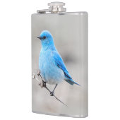 Mooie bergvogel op de Tansy Heupfles (Links)