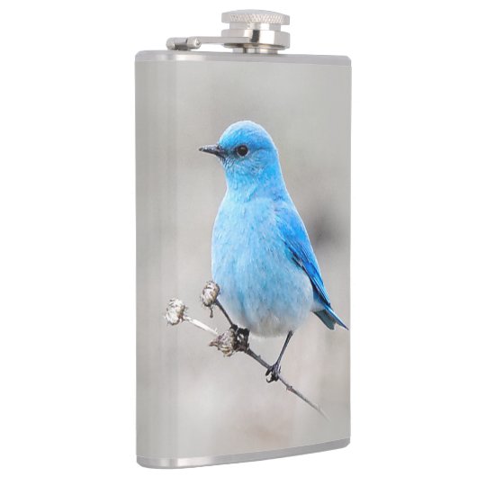 Mooie bergvogel op de Tansy Heupfles (Rechts)