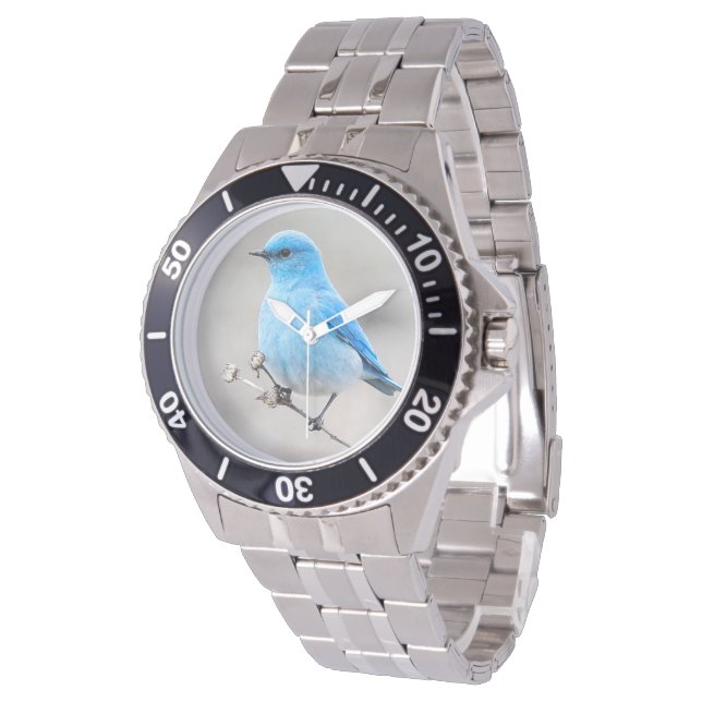 Mooie bergvogel op de Tansy Horloge (Gekanteld)