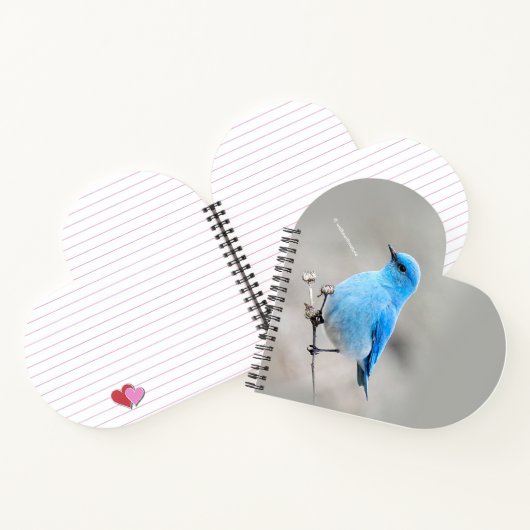 Mooie bergvogel op de Tansy Notitieboek (Binnen)