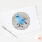 Mooie bergvogel ronde sticker (Envelop)