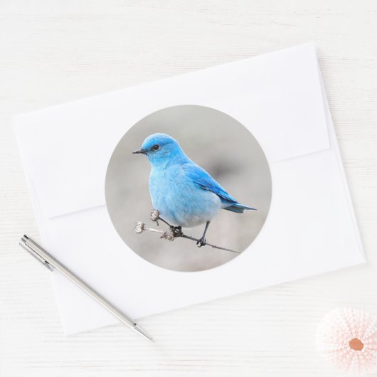 Mooie bergvogel ronde sticker (Envelop)