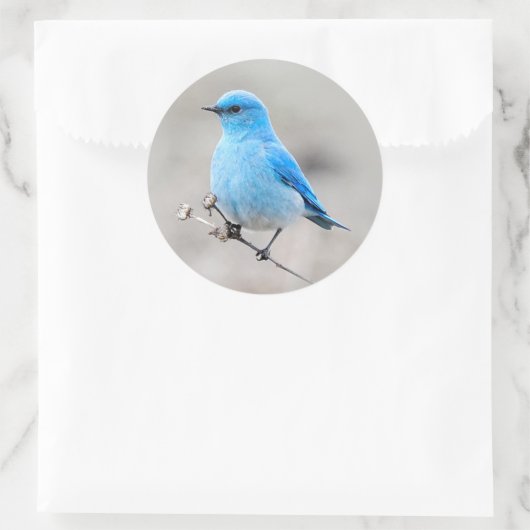 Mooie bergvogel ronde sticker (Tas)