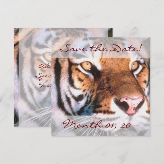 Mooie berichten van de tijger save the date (Voorkant / Achterkant)
