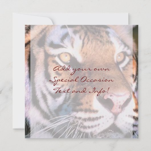 Mooie berichten van de tijger save the date (Achterkant)