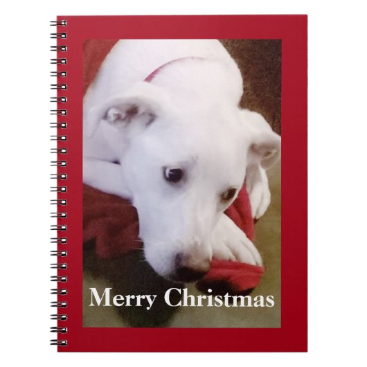 Mooie Besneeuwde Witte Hond Puppy Kerstmis Rood Notitieboek (Voorkant)