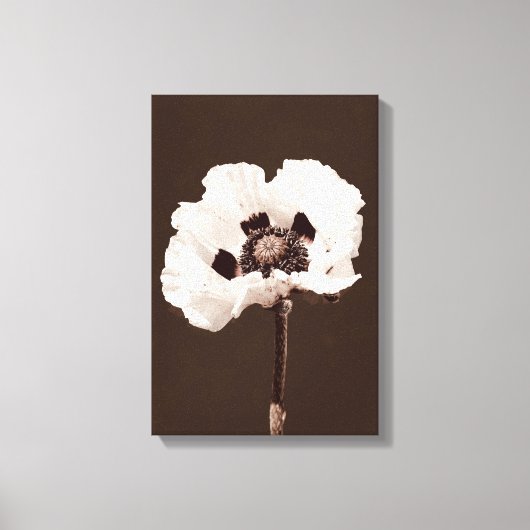Mooie besneeuwde witte Montana Wildflower Canvas Afdruk (Voorkant)