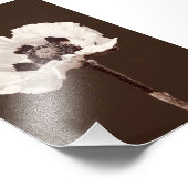 Mooie besneeuwde witte Montana Wildflower Foto Afdruk (Hoek)