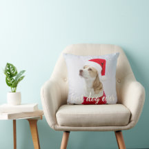 Mooie Beste Hond Ooit Aangepaste Foto van Huisdier