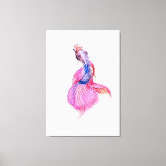 Mooie Betta Fish Canvas Afdruk (Voorkant)