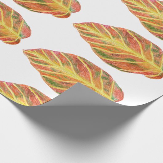 Mooie beuk in de herfst cadeaupapier (Hoek)