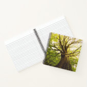 Mooie beukenboom notitieboek (Binnen)