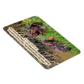 Mooie Bever Schrift 2Thessalonicenzen 3:10 Magneet (Rechterzijde)