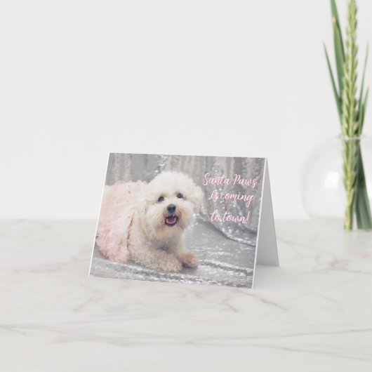 Mooie Bichon Frise Ballerina kerstkaart Feestdagen Kaart (Voorkant)