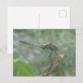 Mooie Big Blue Yellow Dragonfly DIY Briefkaart (Voorkant / Achterkant)