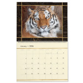 Mooie Big Cats Photo Afbeelding Calendar Kalender (Jan 2026)