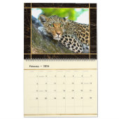 Mooie Big Cats Photo Afbeelding Calendar Kalender (Feb 2026)
