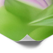 Mooie Bijen op een roze bloem Close-up Poster (Hoek)