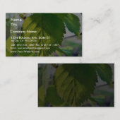 Mooie Birch Leaves Visitekaartje (Voorkant / Achterkant)