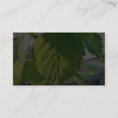 Mooie Birch Leaves Visitekaartje (Achterkant)