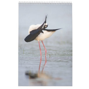 Mooie Birds Wall Calendar 2023 Kalender