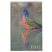 Mooie Birds Wall Calendar 2023 Kalender (Hoes)