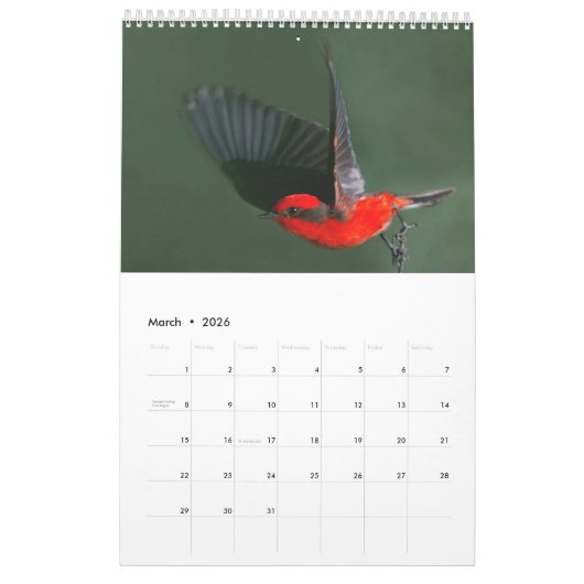 Mooie Birds Wall Calendar 2023 Kalender (Mar 2026)