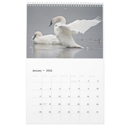 Mooie Birds Wall Calendar 2023 Kalender (Jan 2026)